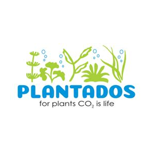 Plantaodoslagos.com.br
